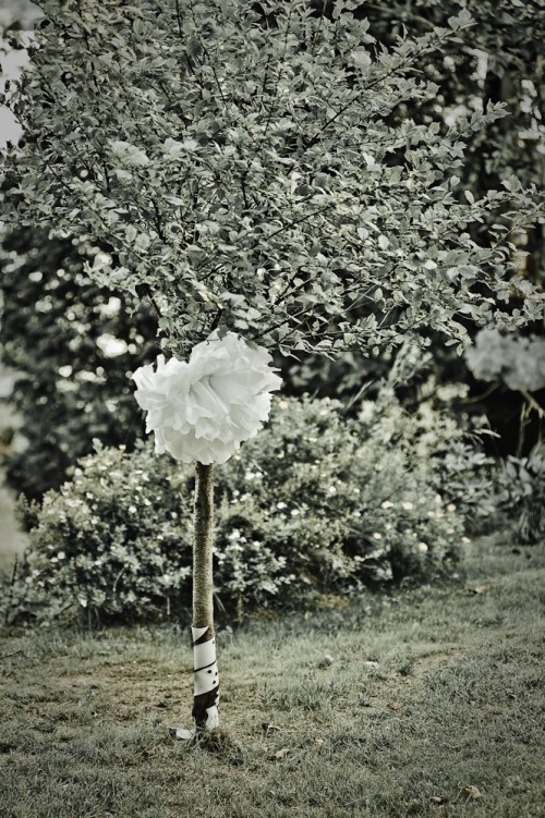 Wedding-Alyson-Emma-512