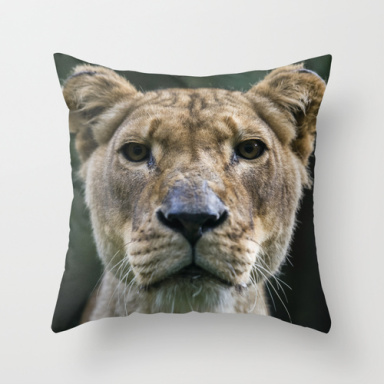 Lion throw pillow