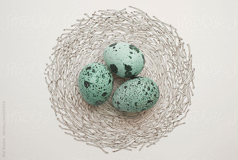Eggs by Blai Baules