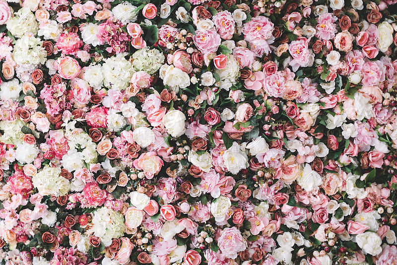 spring flowers by Alexey Kuzma