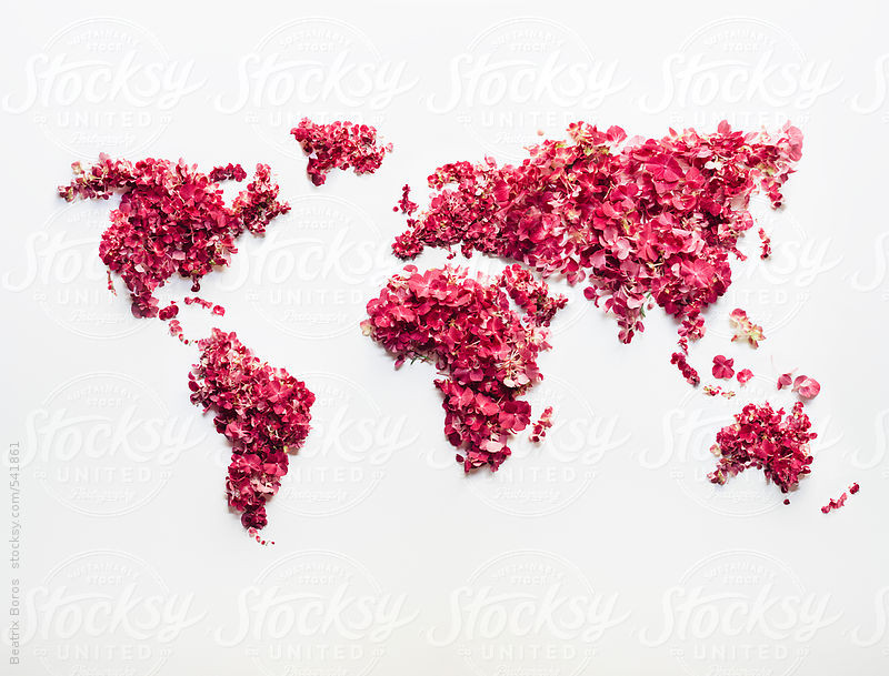 Clearly visible continents on a handmade world map made of pinkish flowers and petals by Beatrix Boros