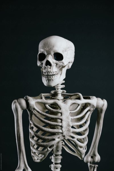 Portrait of a Halloween skeleton